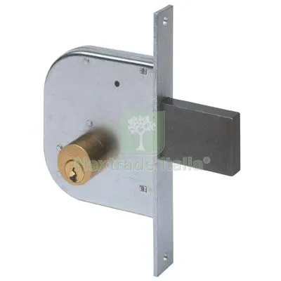 2PZ Serratura Cancello Infilare 42020 Cisa B.Q Zinc F.MM 22 C.TONDO M1+SCR E.MM 50 Fin Zincata — Serrature e cilindri — rif. FERX.VIR8210352