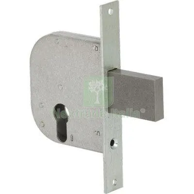 2PZ Serratura Cancello Infilare 42012 Cisa B.Q Zinc F.MM 22 F.SAGOM SCR E.MM 50 Fin Zincata — Serrature e cilindri — rif. FERX.VIR8210361