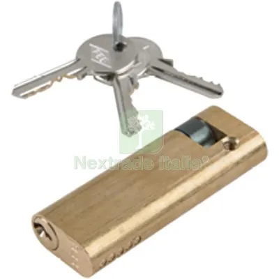 Mezzo Cilindro Ovale N0903 Yale Ottone Chiavi 3 MM 86 70 +16 — Serrature e cilindri — rif. FERX.VIR8211524 Mezzo Cilindro Ovale N0903 Yale Ottone Chiavi 3 MM 86 70 +16 — Serrature e cilindri — rif. FERX.VIR8211524