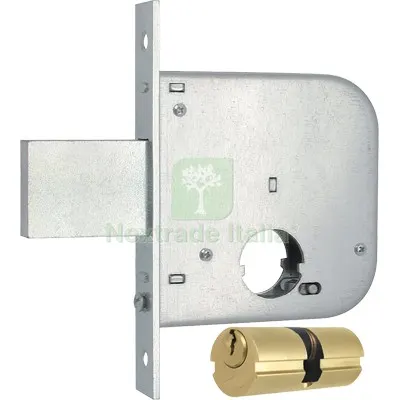 Serratura Cancello Infilare 136 MG B.Q Zinc F.MM 20 F.TONDO M2+E.MM 50 CF=PZ 2 Fin Zincata — Serrature e cilindri — rif. FERX.VIR8214667