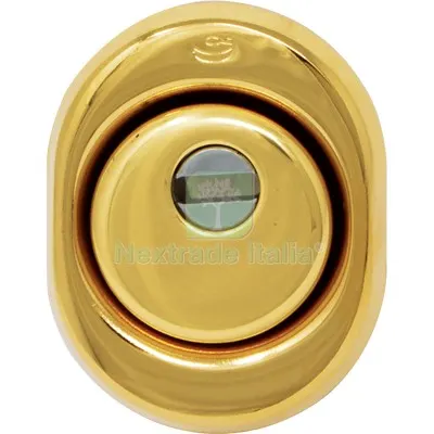 Defender 325 Atra Cipierre Ottone Lucido F.SAG I.MM 31 D.MM 50 H.MM 25 Fin Ottonata — Serrature e cilindri — rif. FERX.VIR8214887 Defender 325 Atra Cipierre Ottone Lucido F.SAG I.MM 31 D.MM 50 H.MM 25 Fin Ottonata — Serrature e cilindri — rif. FERX.VIR8214887
