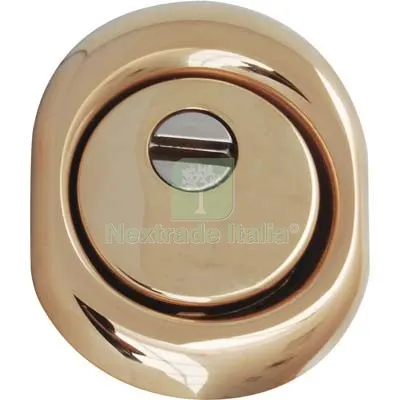 Defender Monolito BD200 Disec Ottone Lucido F.SAG I.MM 38 D.MM 50 H.MM 20 — Serrature e cilindri — rif. FERX.VIR8214745