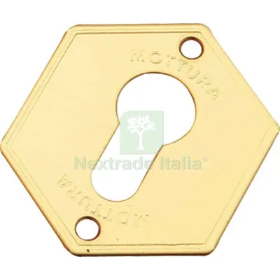 5PZ Mostrina Porta Blindata 95297 Mottura F.SAGOM Ottone MM 52X70 Fin Ottonata — Serrature e cilindri — rif. FERX.VIR8214793 5PZ Mostrina Porta Blindata 95297 Mottura F.SAGOM Ottone MM 52X70 Fin Ottonata — Serrature e cilindri — rif. FERX.VIR8214793
