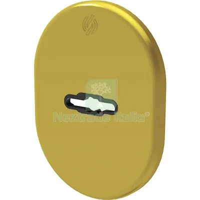 5PZ Mostrina Porta Blindata 4301 Securemme DM Ottone Lucido MM 82X62 Fin Ottonata MM 62x82 — Serrature e cilindri — rif. FERX.VIR8214900 5PZ Mostrina Porta Blindata 4301 Securemme DM Ottone Lucido MM 82X62 Fin Ottonata MM 62x82 — Serrature e cilindri — rif. FERX.VIR8214900