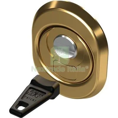 Defender Magnetico BKL Cipierre Ottone Lucido F.SAG I.MM 38 D.MM 50 H.MM 18 Fin Ottonata — Serrature e cilindri — rif. FERX.VIR8214960 Defender Magnetico BKL Cipierre Ottone Lucido F.SAG I.MM 38 D.MM 50 H.MM 18 Fin Ottonata — Serrature e cilindri — rif. FERX.VIR8214960