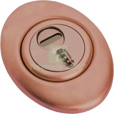 Defender Meccanico Mecdef Securemme Inox Alluminio Bronz F.SAG I.MM 31 D.MM 50 H.MM 20 Fin Alluminio Bronzo — Serrature e cilindri — rif. FERX.VIR8215025 Defender Meccanico Mecdef Securemme Inox Alluminio Bronz F.SAG I.MM 31 D.MM 50 H.MM 20 Fin Alluminio Bronzo — Serrature e cilindri — rif. FERX.VIR8215025