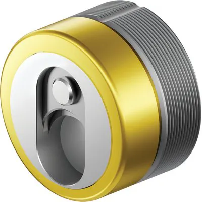Defender Magnetico MRM463 Disec Inox Ottone Lucido F.SAG I.MM 31 D.MM 46 H.MM 28 — Serrature e cilindri — rif. FERX.VIR8215077