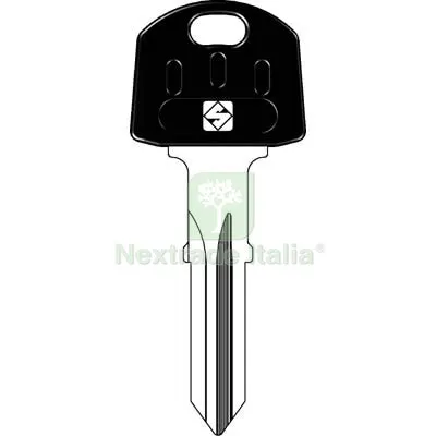 5PZ Chiave Piatta Abus AB57RAP Silca Acciaio Nichelato Mat Acciaio — Serrature e cilindri — rif. FERX.VIR8597906 5PZ Chiave Piatta Abus AB57RAP Silca Acciaio Nichelato Mat Acciaio — Serrature e cilindri — rif. FERX.VIR8597906
