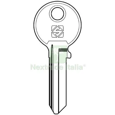 20PZ Chiave Piatta Iseo IE12 Silca Acciaio Nichelato Mat Acciaio — Serrature e cilindri — rif. FERX.VIR8597998 20PZ Chiave Piatta Iseo IE12 Silca Acciaio Nichelato Mat Acciaio — Serrature e cilindri — rif. FERX.VIR8597998