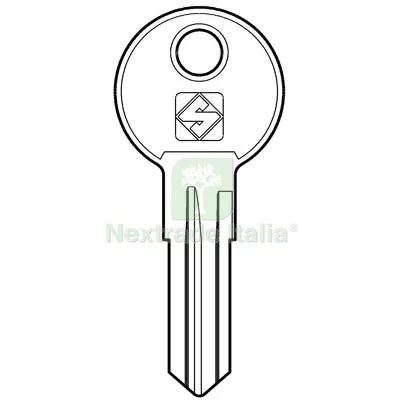 20PZ Chiave Piatta Renz REN1 Silca Acciaio Nichelato Mat Acciaio — Serrature e cilindri — rif. FERX.VIR8598059