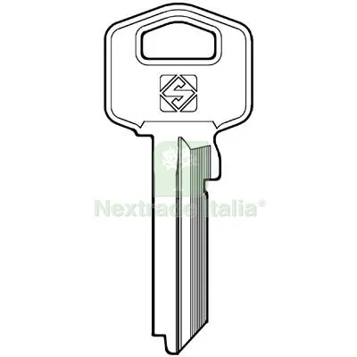 10PZ Chiave Piatta Tesa TE2X Silca Acciaio Nichelato Mat Acciaio — Serrature e cilindri — rif. FERX.VIR8598072 10PZ Chiave Piatta Tesa TE2X Silca Acciaio Nichelato Mat Acciaio — Serrature e cilindri — rif. FERX.VIR8598072
