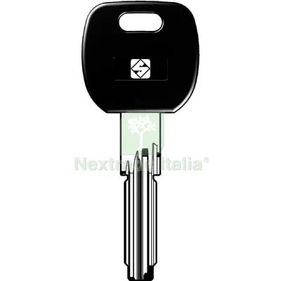 5PZ Chiave Punzonata Cisa CS116P Silca Ottone Nichelato Mat Ottone — Serrature e cilindri — rif. FERX.VIR8598303 5PZ Chiave Punzonata Cisa CS116P Silca Ottone Nichelato Mat Ottone — Serrature e cilindri — rif. FERX.VIR8598303
