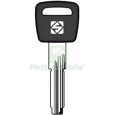 5PZ CHIAVE PUNZONATA CISA CS154AP SILCA OTTONE NICHELATO Mat Ottone — Serrature e cilindri — rif. FERX.VIR8598309 5PZ CHIAVE PUNZONATA CISA CS154AP SILCA OTTONE NICHELATO Mat Ottone — Serrature e cilindri — rif. FERX.VIR8598309