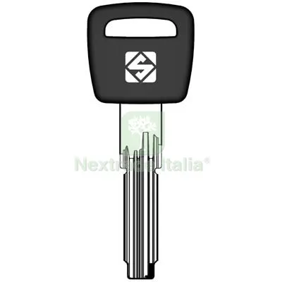 5PZ CHIAVE PUNZONATA CISA CS156AP SILCA OTTONE NICHELATO Mat Ottone — Serrature e cilindri — rif. FERX.VIR8598311 5PZ CHIAVE PUNZONATA CISA CS156AP SILCA OTTONE NICHELATO Mat Ottone — Serrature e cilindri — rif. FERX.VIR8598311