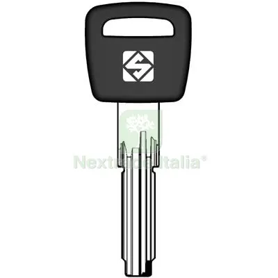 5PZ Chiave Punzonata Cisa CS157AP Silca Ottone Nichelato Mat Ottone — Serrature e cilindri — rif. FERX.VIR8598312 5PZ Chiave Punzonata Cisa CS157AP Silca Ottone Nichelato Mat Ottone — Serrature e cilindri — rif. FERX.VIR8598312