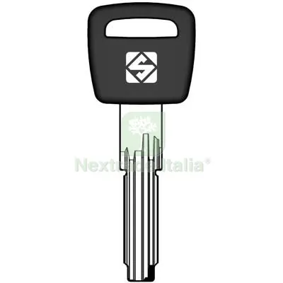 5PZ CHIAVE PUNZONATA CISA CS158AP SILCA OTTONE NICHELATO Mat Ottone — Serrature e cilindri — rif. FERX.VIR8598313 5PZ CHIAVE PUNZONATA CISA CS158AP SILCA OTTONE NICHELATO Mat Ottone — Serrature e cilindri — rif. FERX.VIR8598313