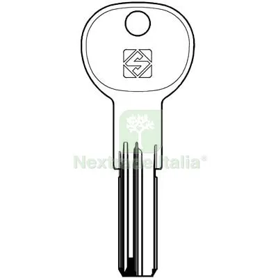 5PZ Chiave Punzonata Iseo IE30 Silca Ottone Nichelato Mat Ottone — Serrature e cilindri — rif. FERX.VIR8598317 5PZ Chiave Punzonata Iseo IE30 Silca Ottone Nichelato Mat Ottone — Serrature e cilindri — rif. FERX.VIR8598317