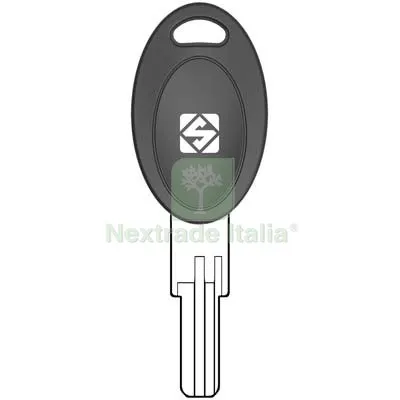 5PZ Chiave Punzonata Eurolocks EU21P Silca Ottone Nichelato Mat Ottone — Serrature e cilindri — rif. FERX.VIR8598319