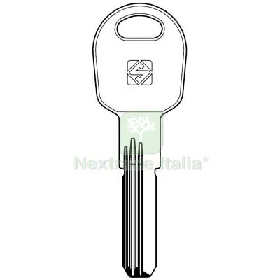 2PZ Chiave Punzonata Tilanco TLC1R Silca Ottone Nichelato Mat Ottone — Serrature e cilindri — rif. FERX.VIR8598326