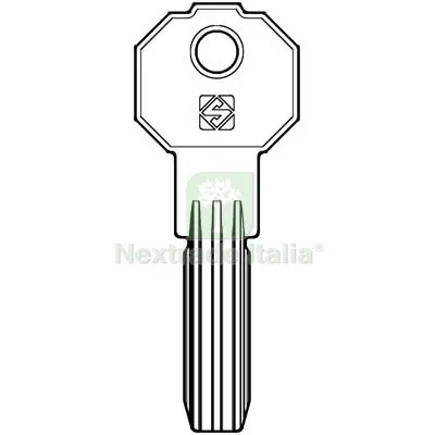5PZ Chiave Punzonata Prefer PF20 Silca Ottone Nichelato Mat Ottone — Serrature e cilindri — rif. FERX.VIR8598348 5PZ Chiave Punzonata Prefer PF20 Silca Ottone Nichelato Mat Ottone — Serrature e cilindri — rif. FERX.VIR8598348