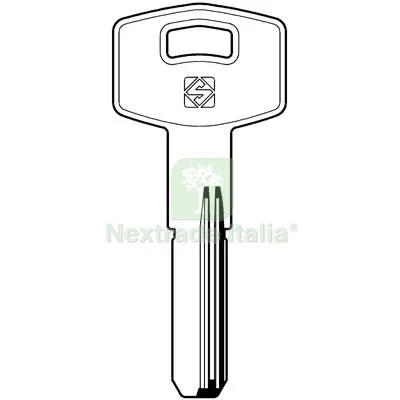 5PZ Chiave Punzonata Taroni TAR16R Silca Ottone Nichelato Mat Ottone — Serrature e cilindri — rif. FERX.VIR8598356 5PZ Chiave Punzonata Taroni TAR16R Silca Ottone Nichelato Mat Ottone — Serrature e cilindri — rif. FERX.VIR8598356