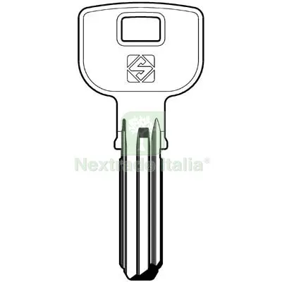 5PZ Chiave Punzonata Tesa TE9 Silca Ottone Nichelato Mat Ottone — Serrature e cilindri — rif. FERX.VIR8598357 5PZ Chiave Punzonata Tesa TE9 Silca Ottone Nichelato Mat Ottone — Serrature e cilindri — rif. FERX.VIR8598357