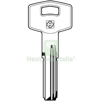 5PZ Chiave Punzonata Tesa TE19 Silca Ottone Nichelato Mat Ottone — Serrature e cilindri — rif. FERX.VIR8598358 5PZ Chiave Punzonata Tesa TE19 Silca Ottone Nichelato Mat Ottone — Serrature e cilindri — rif. FERX.VIR8598358