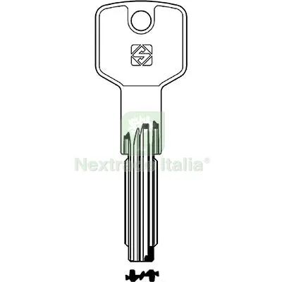 5PZ Chiave Punzonata Cisa CS172 Silca Ottone Nichelato Mat Ottone — Serrature e cilindri — rif. FERX.VIR8598364 5PZ Chiave Punzonata Cisa CS172 Silca Ottone Nichelato Mat Ottone — Serrature e cilindri — rif. FERX.VIR8598364