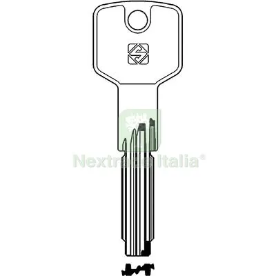 5PZ CHIAVE PUNZONATA CISA CS173 SILCA OTTONE NICHELATO Mat Ottone — Serrature e cilindri — rif. FERX.VIR8598365 5PZ CHIAVE PUNZONATA CISA CS173 SILCA OTTONE NICHELATO Mat Ottone — Serrature e cilindri — rif. FERX.VIR8598365