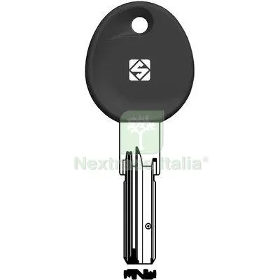 2PZ Chiave Punzonata Iseo IE38RP Silca Alpacca Mat Alpacca — Serrature e cilindri — rif. FERX.VIR8598367