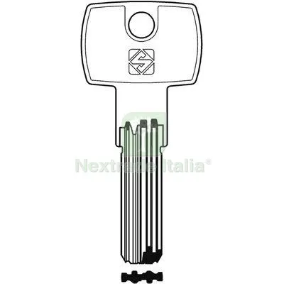 10PZ Chiave Punzonata Potent PT9 Silca Ottone Nichelata Mat Ottone — Serrature e cilindri — rif. FERX.VIR8598370 10PZ Chiave Punzonata Potent PT9 Silca Ottone Nichelata Mat Ottone — Serrature e cilindri — rif. FERX.VIR8598370