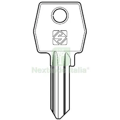 10PZ Chiave Piatta AGB AGB2 Silca Ottone Nichelato Mat Ottone — Serrature e cilindri — rif. FERX.VIR8598602