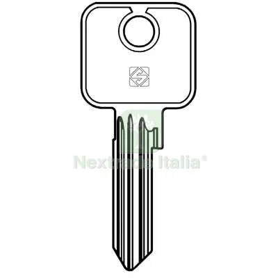 10PZ CHIAVE PIATTA CISA CS17 SILCA OTTONE NICHELATO Mat Ottone — Serrature e cilindri — rif. FERX.VIR8598700 10PZ CHIAVE PIATTA CISA CS17 SILCA OTTONE NICHELATO Mat Ottone — Serrature e cilindri — rif. FERX.VIR8598700