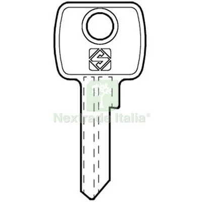 10PZ Chiave Piatta LF LF4 Silca Ottone Nichelato Mat Ottone — Serrature e cilindri — rif. FERX.VIR8598780 10PZ Chiave Piatta LF LF4 Silca Ottone Nichelato Mat Ottone — Serrature e cilindri — rif. FERX.VIR8598780