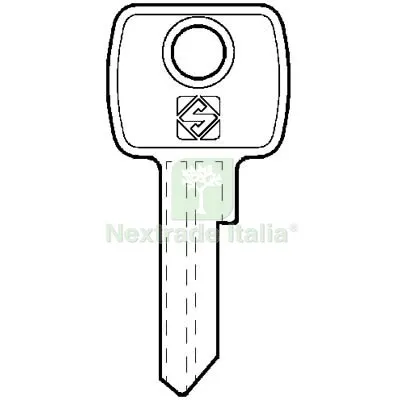 10PZ CHIAVE PIATTA LEF LF6R SILCA OTTONE NICHELATO Mat Ottone — Serrature e cilindri — rif. FERX.VIR8598782 10PZ CHIAVE PIATTA LEF LF6R SILCA OTTONE NICHELATO Mat Ottone — Serrature e cilindri — rif. FERX.VIR8598782