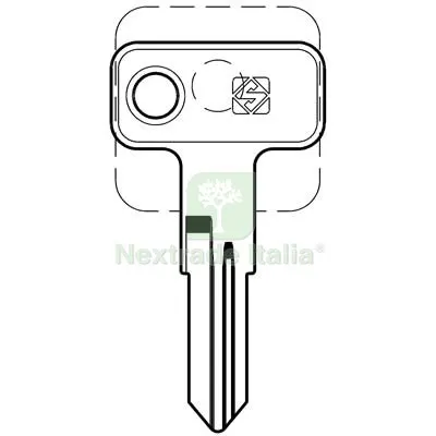 10PZ CHIAVE PIATTA MERONI MER33R SILCA CILINDRO MOBILE OTTONE NICHELATO Mat Ottone — Serrature e cilindri — rif. FERX.VIR8598800 10PZ CHIAVE PIATTA MERONI MER33R SILCA CILINDRO MOBILE OTTONE NICHELATO Mat Ottone — Serrature e cilindri — rif. FERX.VIR8598800