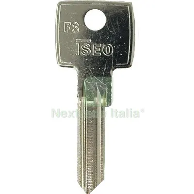 10PZ Chiave Piatta Iseo F6 020609 Clarus Originale Lucchetto Ottone Nichelato Mat Ottone — Lucchetti e catene — rif. FERX.VIR8598925 10PZ Chiave Piatta Iseo F6 020609 Clarus Originale Lucchetto Ottone Nichelato Mat Ottone — Lucchetti e catene — rif. FERX.VIR8598925