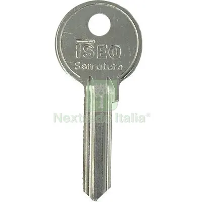 20PZ Chiave Piatta Iseo 020159 Originale Ottone Nichelato Mat Ottone — Serrature e cilindri — rif. FERX.VIR8598957 20PZ Chiave Piatta Iseo 020159 Originale Ottone Nichelato Mat Ottone — Serrature e cilindri — rif. FERX.VIR8598957