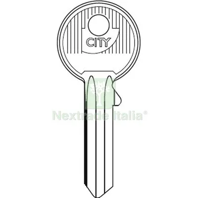 20PZ Chiave Piatta Iseo 020359.CS Originale Ottone Nichelato Mat Ottone — Serrature e cilindri — rif. FERX.VIR8598958 20PZ Chiave Piatta Iseo 020359.CS Originale Ottone Nichelato Mat Ottone — Serrature e cilindri — rif. FERX.VIR8598958