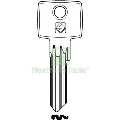 10PZ Chiave Piatta Iseo IE39 Silca Acciaio Nichelato Mat Acciaio — Serrature e cilindri — rif. FERX.VIR8598980 10PZ Chiave Piatta Iseo IE39 Silca Acciaio Nichelato Mat Acciaio — Serrature e cilindri — rif. FERX.VIR8598980