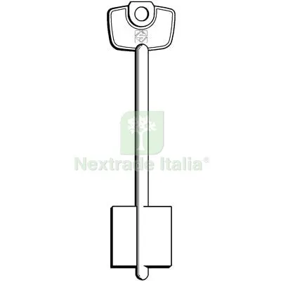 5PZ Chiave Doppia Mappa Cerutti 5C9 Silca Ottone Nichelato Mat Ottone — Chiavi grezze e duplicati — rif. FERX.VIR8599722
