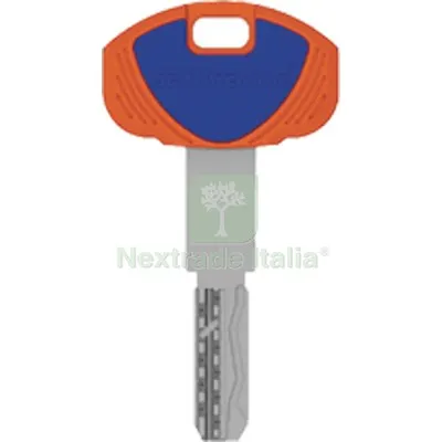 5PZ Chiave Punzonata EVO K64 1A Securemme Ottone Nichelato — Serrature e cilindri — rif. FERX.VIR8599846