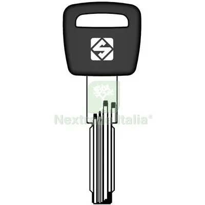5PZ Chiave Punzonata Cisa CS70AP Silca Ottone Nichelato Mat Ottone — Serrature e cilindri — rif. FERX.VIR8599928
