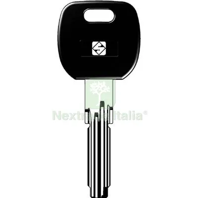 5PZ CHIAVE PUNZONATA CISA CS62AP SILCA OTTONE NICHELATO Mat Ottone — Serrature e cilindri — rif. FERX.VIR8599931