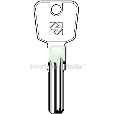 5PZ Chiave Punzonata Titan DOM CR TN32 Silca Ottone Nichelato Mat Ottone — Serrature e cilindri — rif. FERX.VIR8599940