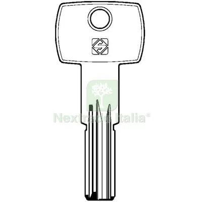 10PZ Chiave Punzonata AGB AGB9 Silca Scudo 5000 Ottone Nichelato Mat Ottone — Serrature e cilindri — rif. FERX.VIR8599961 10PZ Chiave Punzonata AGB AGB9 Silca Scudo 5000 Ottone Nichelato Mat Ottone — Serrature e cilindri — rif. FERX.VIR8599961