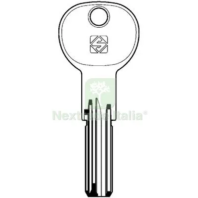10PZ Chiave Punzonata Iseo IE26 Silca Ottone Nichelato Mat Ottone — Serrature e cilindri — rif. FERX.VIR8599969 10PZ Chiave Punzonata Iseo IE26 Silca Ottone Nichelato Mat Ottone — Serrature e cilindri — rif. FERX.VIR8599969