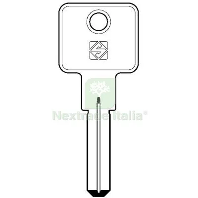 5PZ Chiave Punzonata MG Monti MG8 Silca Alpacca Mat Ottone — Serrature e cilindri — rif. FERX.VIR8599971