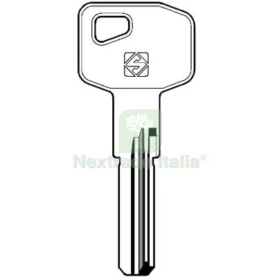 5PZ Chiave Punzonata MG Monti MG9 Silca Ottone Nichelato Mat Ottone — Serrature e cilindri — rif. FERX.VIR8599972 5PZ Chiave Punzonata MG Monti MG9 Silca Ottone Nichelato Mat Ottone — Serrature e cilindri — rif. FERX.VIR8599972