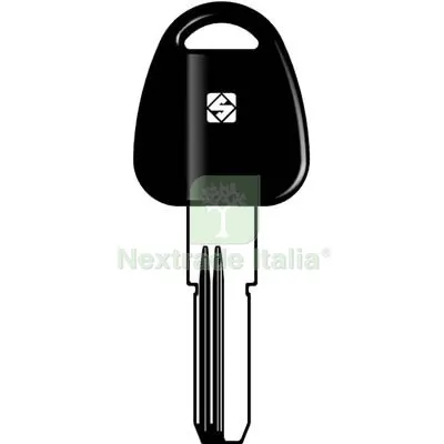 5PZ Chiave Punzonata Potent PT5RP Silca Ottone Nichelato Mat Ottone — Serrature e cilindri — rif. FERX.VIR8599975 5PZ Chiave Punzonata Potent PT5RP Silca Ottone Nichelato Mat Ottone — Serrature e cilindri — rif. FERX.VIR8599975
